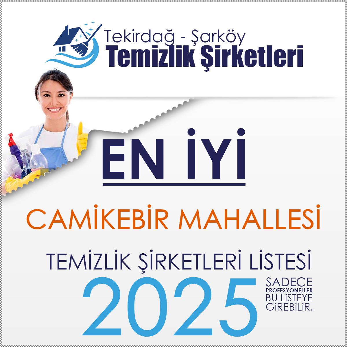 Şarköy Camikebir Mahallesi En İyi Temizlik Şirketleri