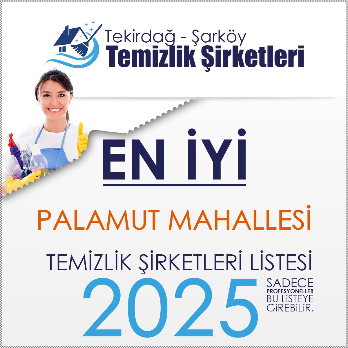 Şarköy Palamut Mahallesi En İyi Temizlik Şirketleri